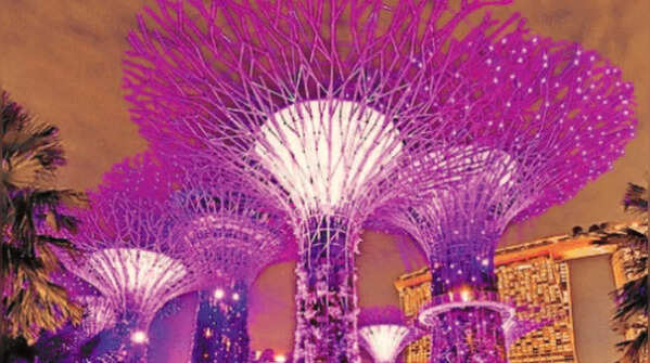 Light, sound & city lights