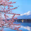 Article image for: <i class="tbold">japan</i>