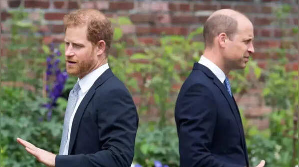 Prince William and Prince Harry