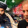 Article image for: Afghan Minister Warns Pakistan Says Do Not Force Us Into War Amid Rising Tensions