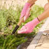 Remove weeds immediately