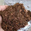 Apply mulch on the soil surface