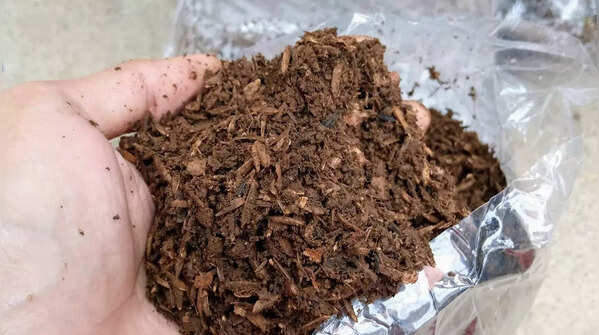 Apply mulch on the soil surface