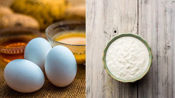 The Protein Powerhouse: Curd & Egg