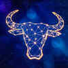 Taurus