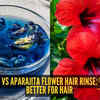 Article image for: Hibiscus vs <i class="tbold">Aparajita</i> flower hair rinse: The better one for hair