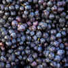 Black Grapes
