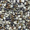 Black Dal
