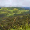Periyar Tiger Reserve in Kerala