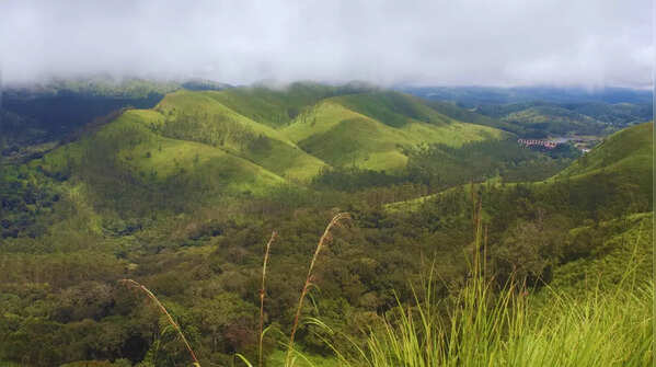 Periyar Tiger Reserve in Kerala