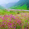 Valley of Flowers National Park in Uttarakhand
