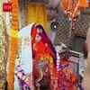 Article image for: Special Holi Aarti At <i class="tbold">Shri</i> Mahakaleshwar Temple