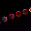Article image for: First <i class="tbold">lunar eclipse</i> of 2026