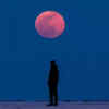 Article image for: What is a total <i class="tbold">lunar eclipse</i>?