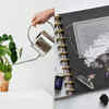 Article image for: Where to place a money plant for prosperity