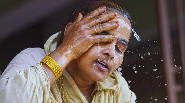 Heatwave-Like Conditions Grip Karnataka