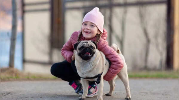 Strong loyalty promotes companionship