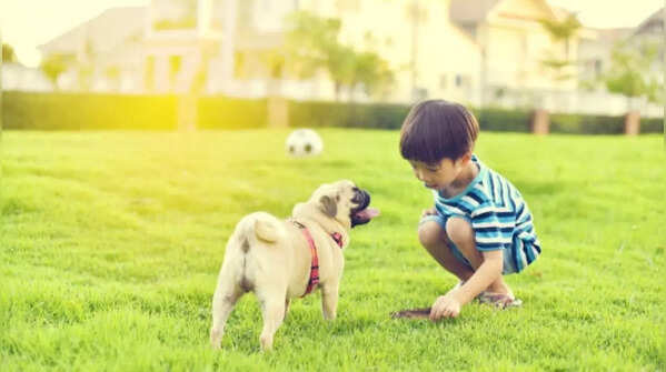 Small size is easy for kids to manage