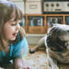 Article image for: Pug: 7 reasons why this dog breed is good for children