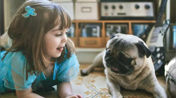 Pug: 7 reasons why this dog breed is good for children