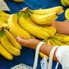 Benefits of bananas