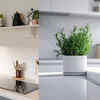 Storage and Colors Impact