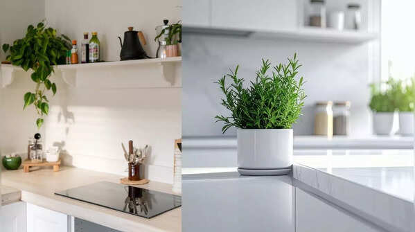 Storage and Colors Impact