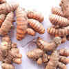 Article image for: Lakadong Turmeric, <i class="tbold">meghalaya</i>