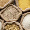 Article image for: Millets, Shree Anna