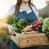 Organics all the way 