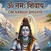 Article image for: <i class="tbold">om</i> Namah Shivaya