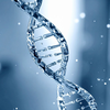Genetics and metabolic conditions matter too