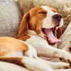 Maintain a sleep schedule