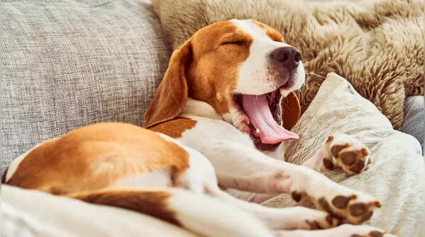 Maintain a sleep schedule