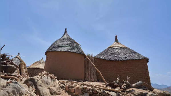 Lime or mud plaster coatings