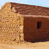 Use of natural materials