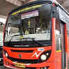 Daily buses on road see limited rise