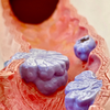 Why bowel habits matter more than people realise