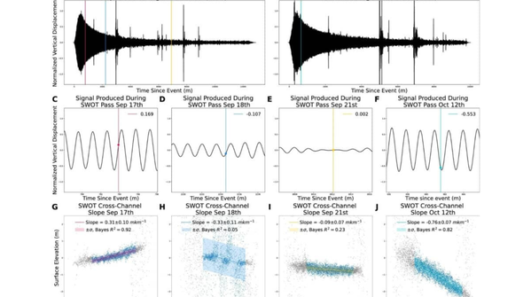 Scientists unveil cortical heartbeat