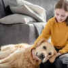 Encourages responsibility in kids