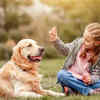 Emotionally supportive for children