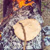 The flame method