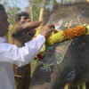 Article image for: ‘The Elephant Whisperers’ (2022)