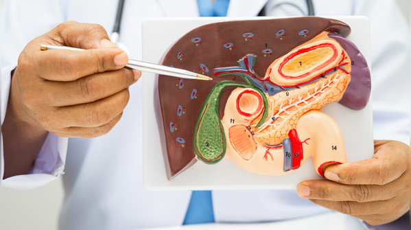 How can thin people get a fatty liver?