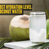 Article image for: Foods that can boost hydration level of <i class="tbold">coconut water</i>