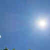 Ensure plenty of sunlight