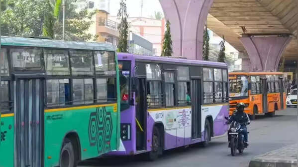 <strong>Govt Highlights Bus Network Scale</strong>