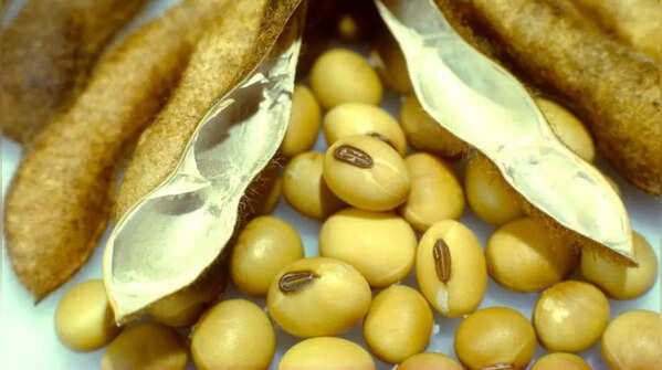 Soybeans