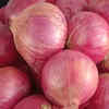 Onion
