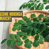 Article image for: Why moringa is ideal for <i class="tbold">march</i>